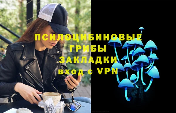 спайс Арсеньев