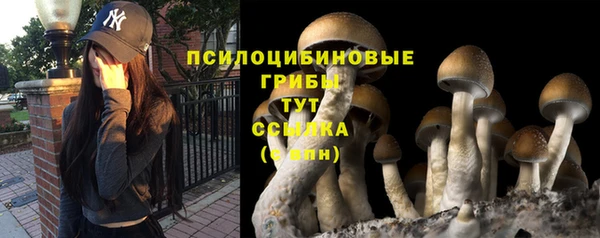 амф Армянск