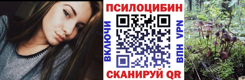 Галлюциногенные грибы Psilocybe  Заозёрный 